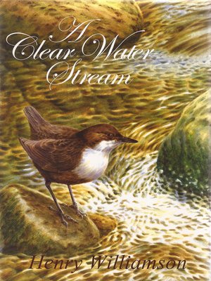 cover image of A Clear Water Stream